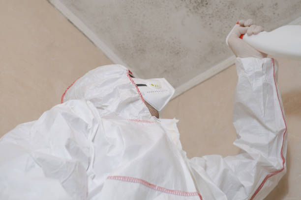 Best Commercial Mold Removal  in Zebulon, NC